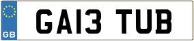 Truck License Plate